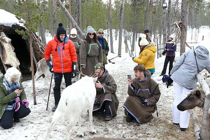 To see the Northern Lights and get to know Russian Lapland, you should come to the Murmansk region on the Kola Peninsula. Visit the largest world city above the Arctic Circle, Snow Village, Khibiny Mountains by snowmobile, reindeers, sleigh rides with husky dogs, Teriberka village and the Arctic Ocean and much more above the Arctic Circle at the 69th parallel - Kola Travel.
